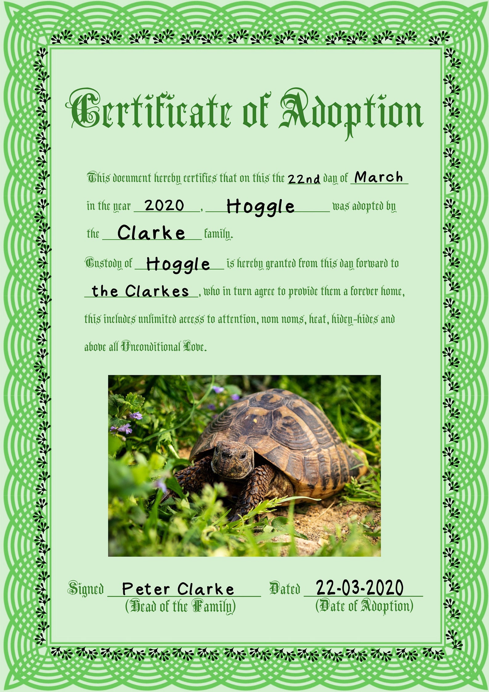 Reptile Family Adoption Certificate green Etsy