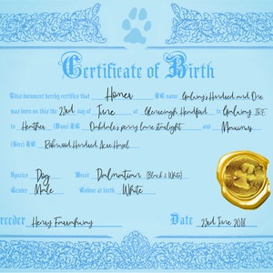 Certificato di nascita del cucciolo (blu)