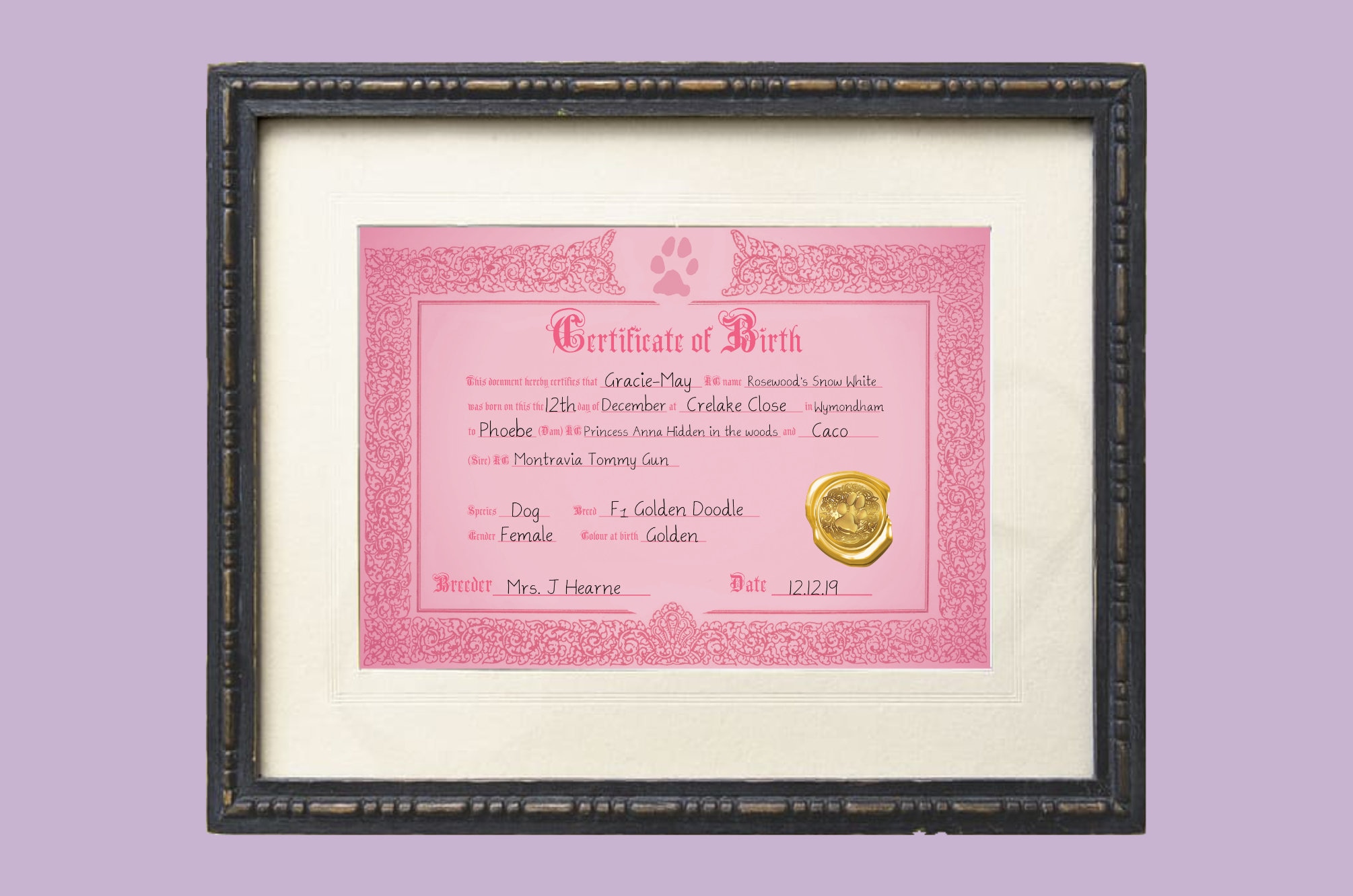 Puppy Birth Certificate Pink Etsy
