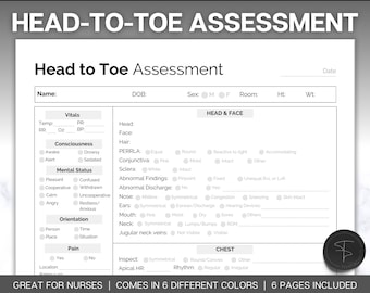 Head to toe Assessment Sheet, Head-to-toe Assessment Guide,  Nursing Study Guide, Nurse Report, Nursing Student Notes, Nclex Care Plan