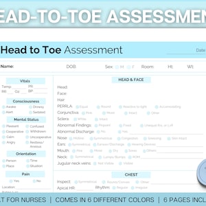Head to toe Assessment Sheet, Head-to-toe Assessment Guide,  Nursing Study Guide, Nurse Report, Nursing Student Notes, Nclex Care Plan