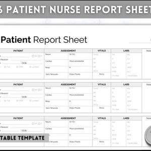 6 Patient Nurse Report Sheet, Nurse Brain Sheet, ICU Nurse Report, RN Nursing, Nurse Grad, SBAR, Patient Assessment, Printable Template
