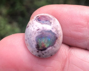 Opale de feu Mexicaine 9,5 carats