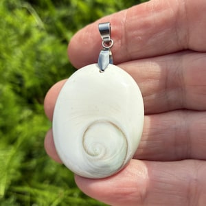 Peut inclure: Un pendentif de forme ovale fabriqué à partir d'un coquillage blanc lisse et poli, présentant un motif en spirale brun clair naturel centré sur la surface. Le pendentif est fixé à une bélière en métal argenté simple pour le suspendre.