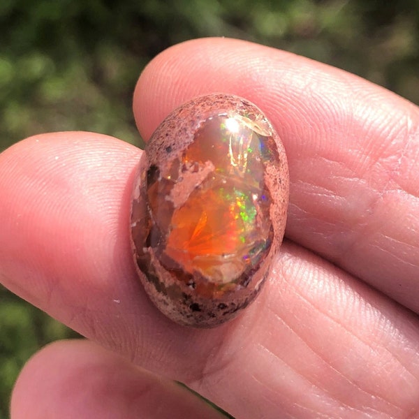 Opale de feu Mexicaine 14,1 carats