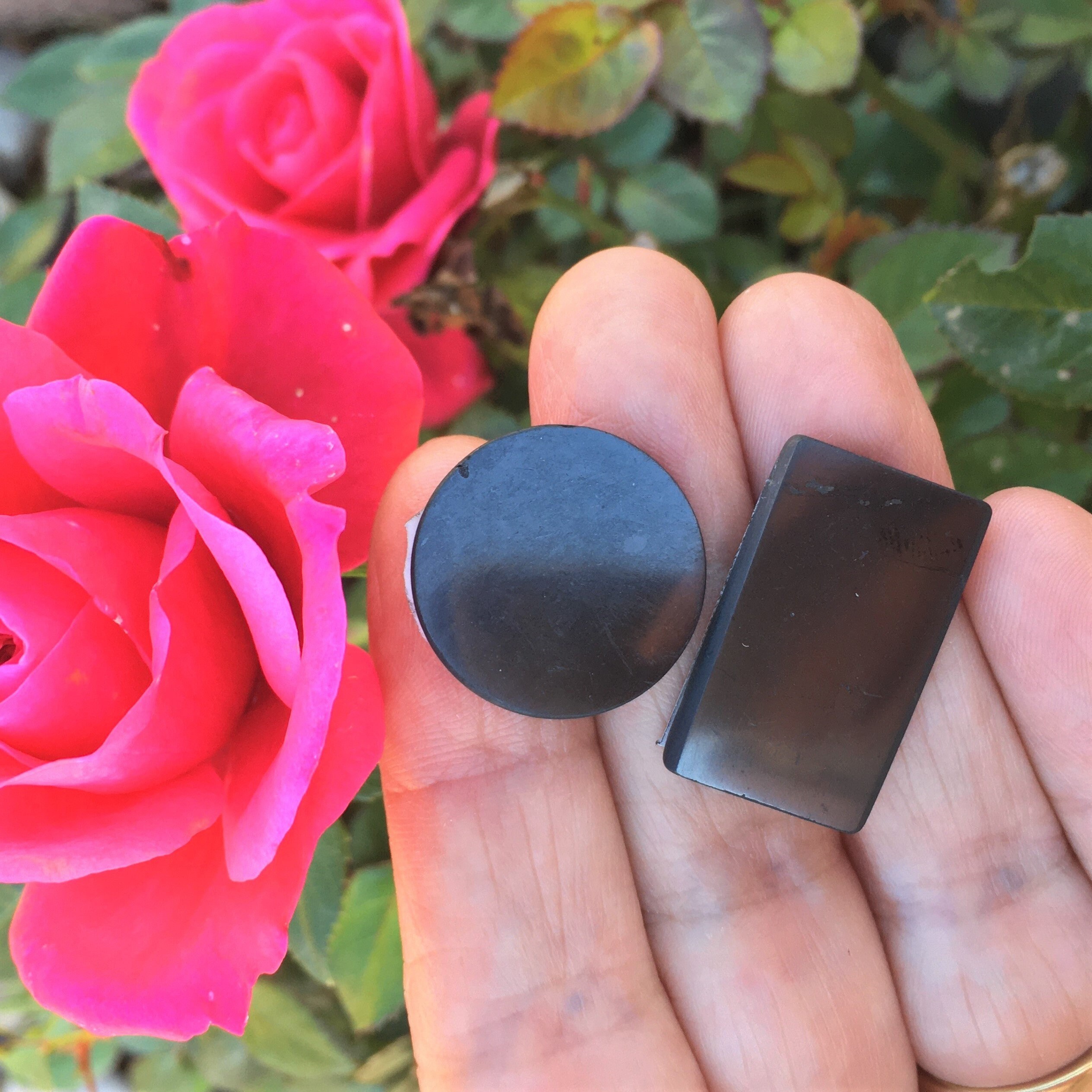 Shungite Plaque de Protection Portable 2 Modèles