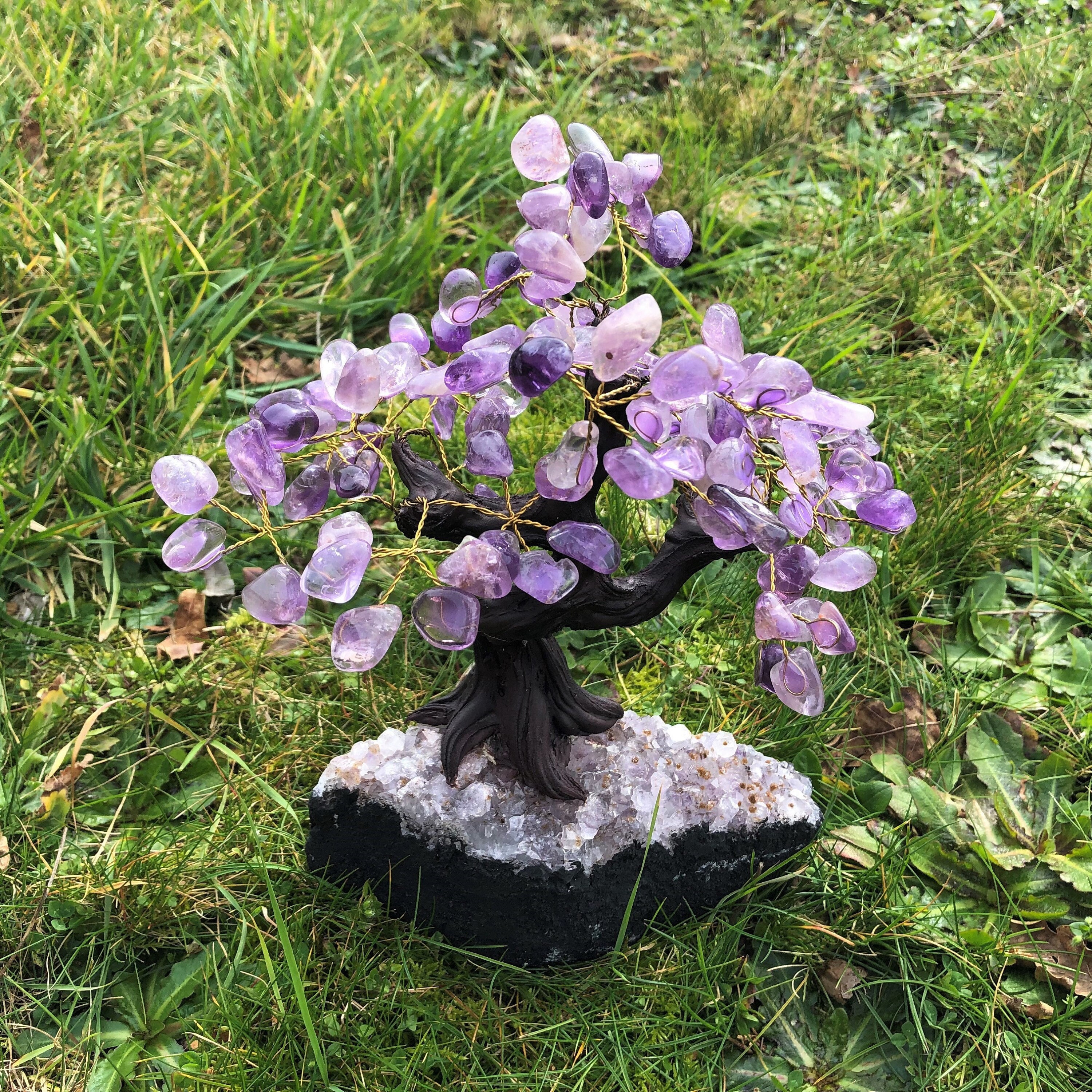 Arbre de Vie en Améthyste Bonsaï Pierre Naturelle 1, 700 Kg