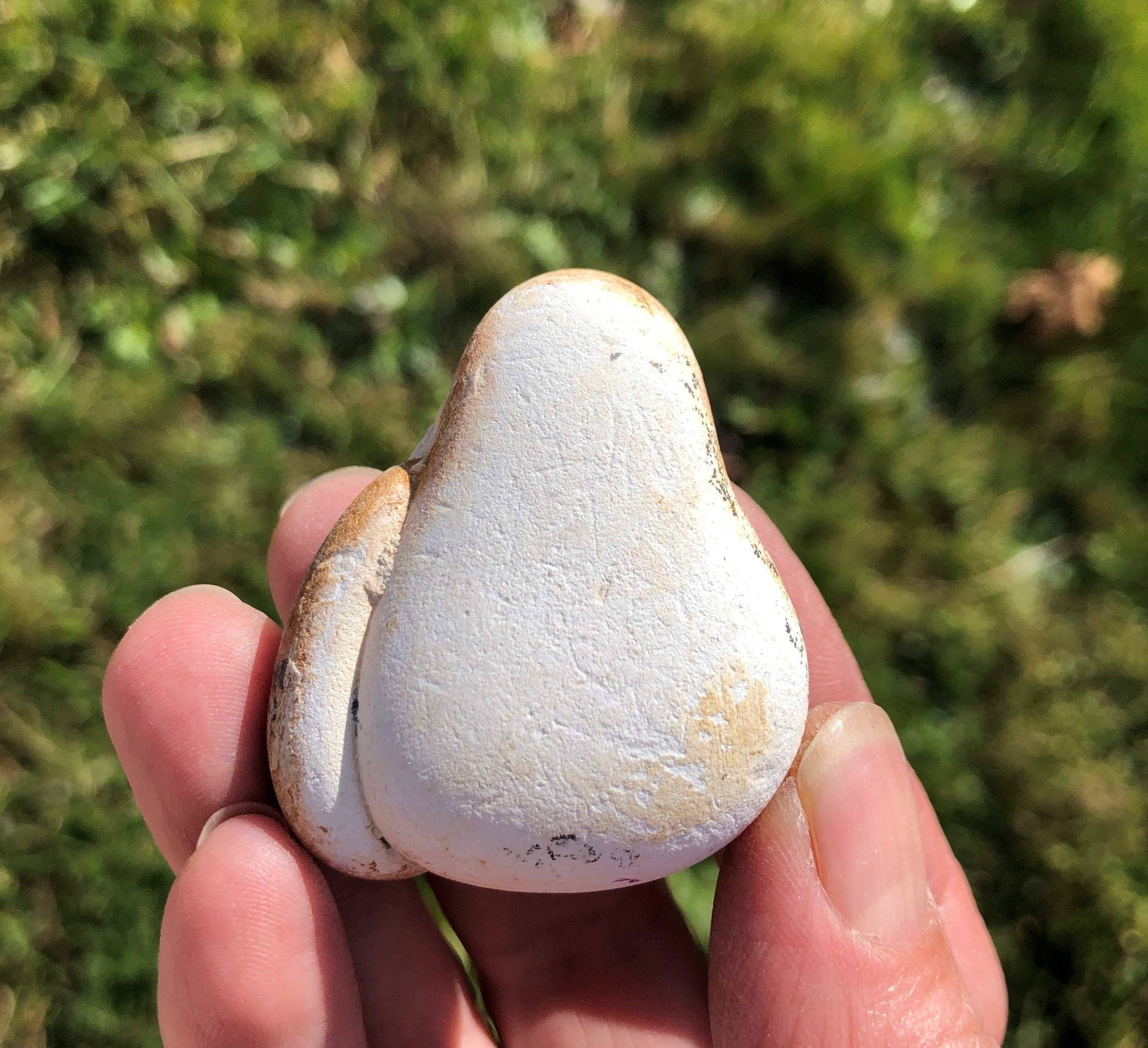 Pierre Des Fées 47, 36 Grammes