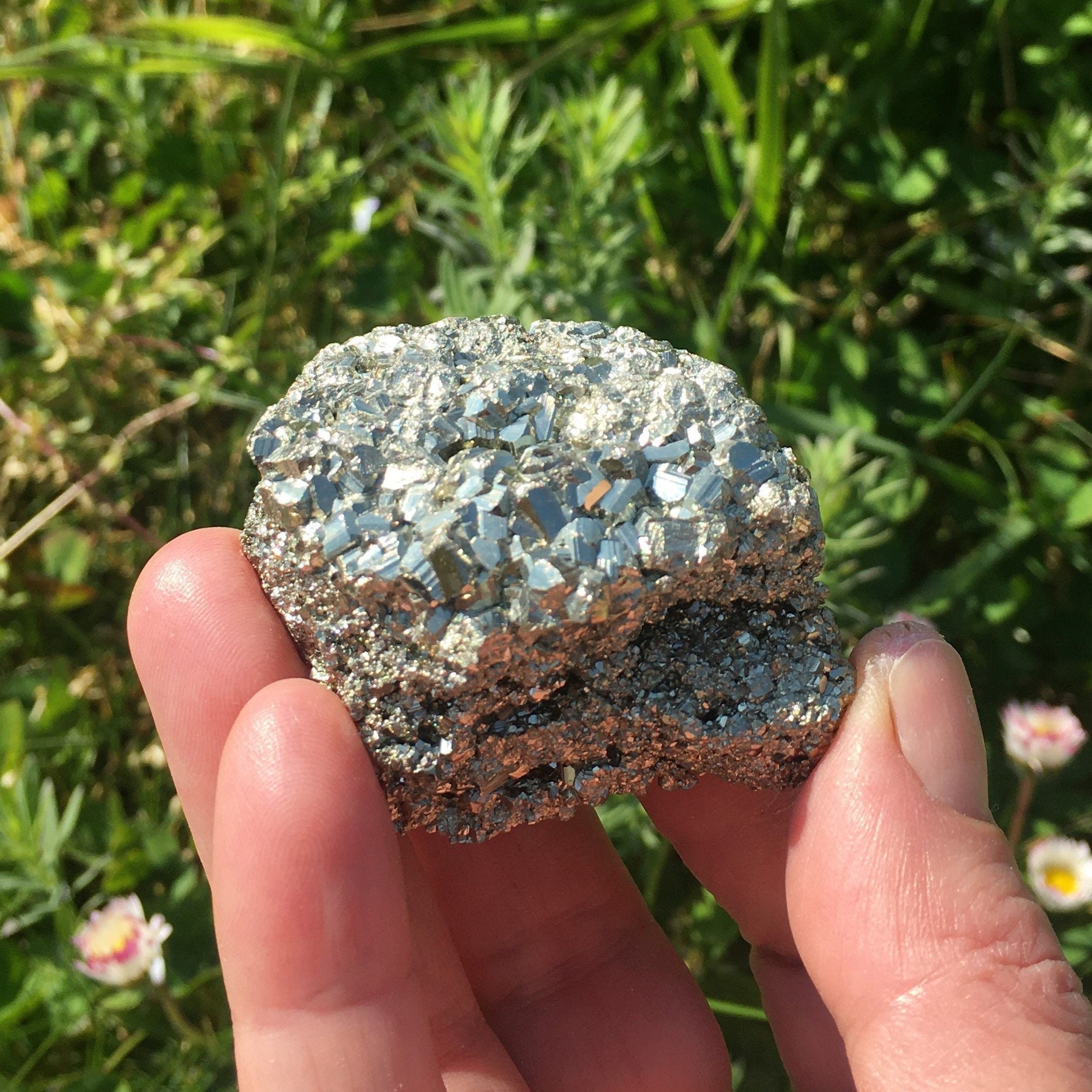 Pyrite Brute 147, 55 Grammes