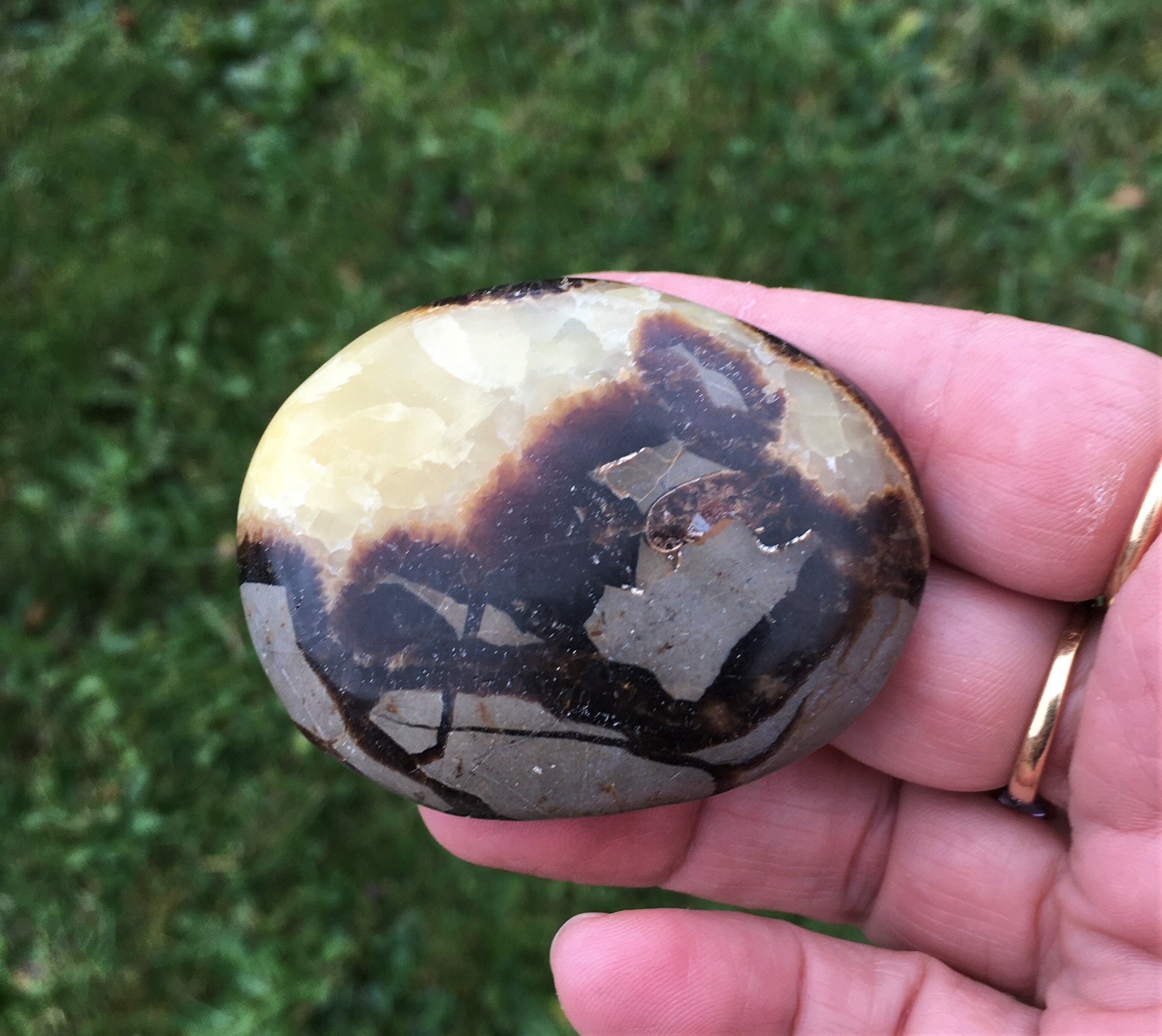 Galet Septaria 69, 80 Grammes Pierre de Dragon