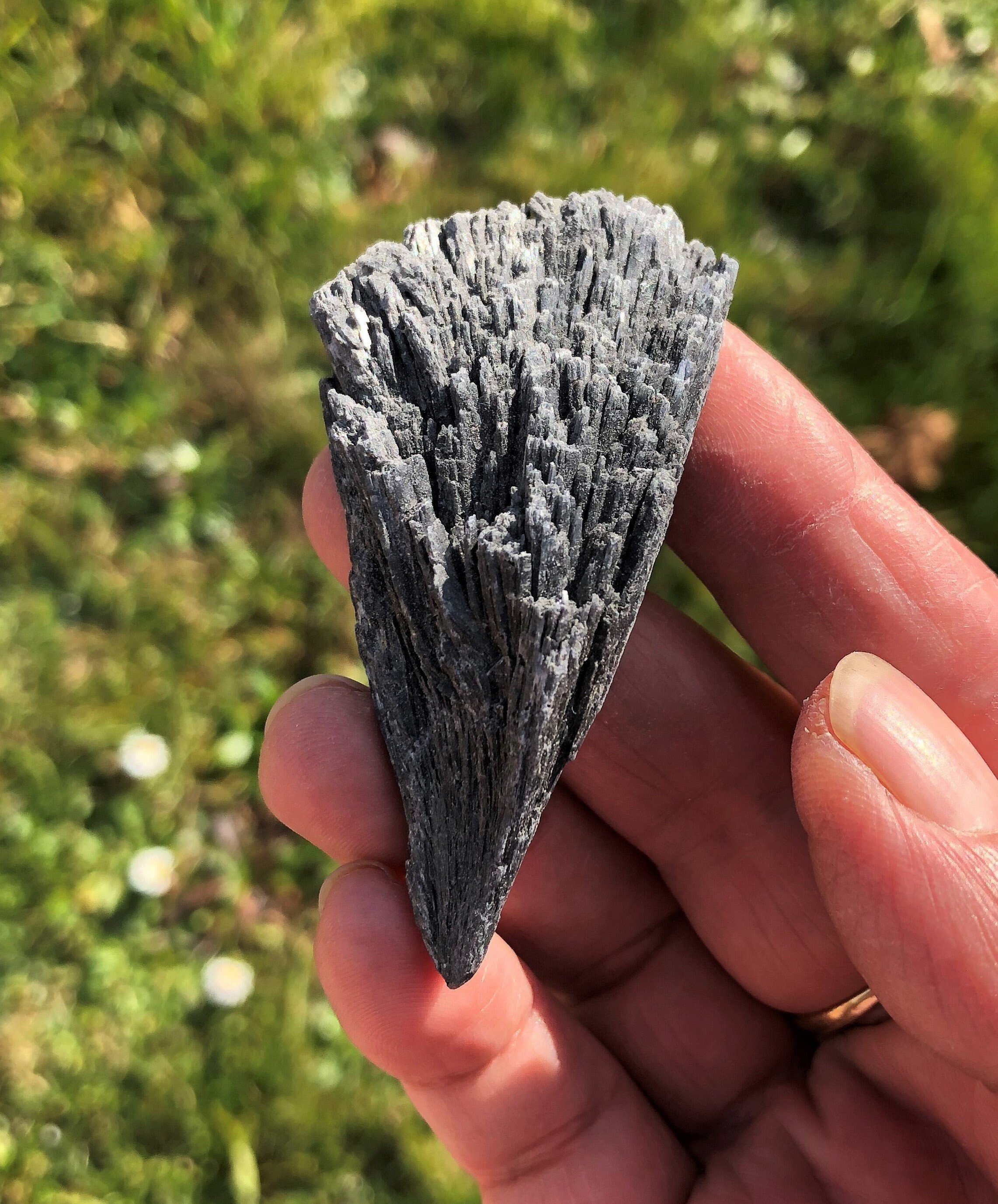 Taramite Kyanite Noire 31, 62 Grammes