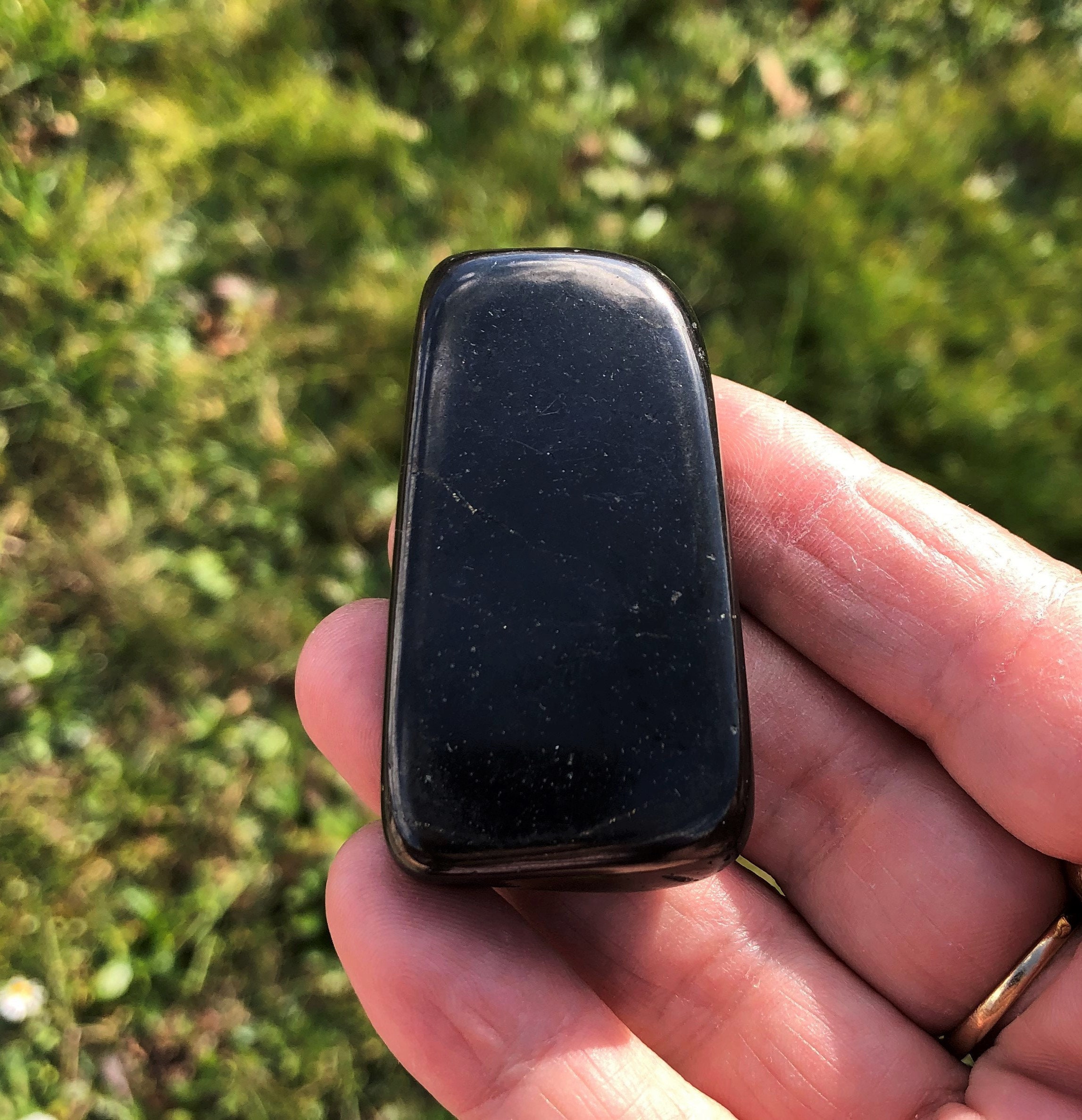 Galet Shungite 43, 60 Grammes