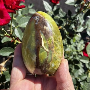 Op de afbeelding: Een gepolijste, ovaalvormige edelsteen met een mix van groene, gele en bruine tinten. De steen heeft een glad, glanzend oppervlak met natuurlijke patronen en insluitsels. De edelsteen wordt in een hand gehouden, met een achtergrond van groen gebladerte en rode rozen.