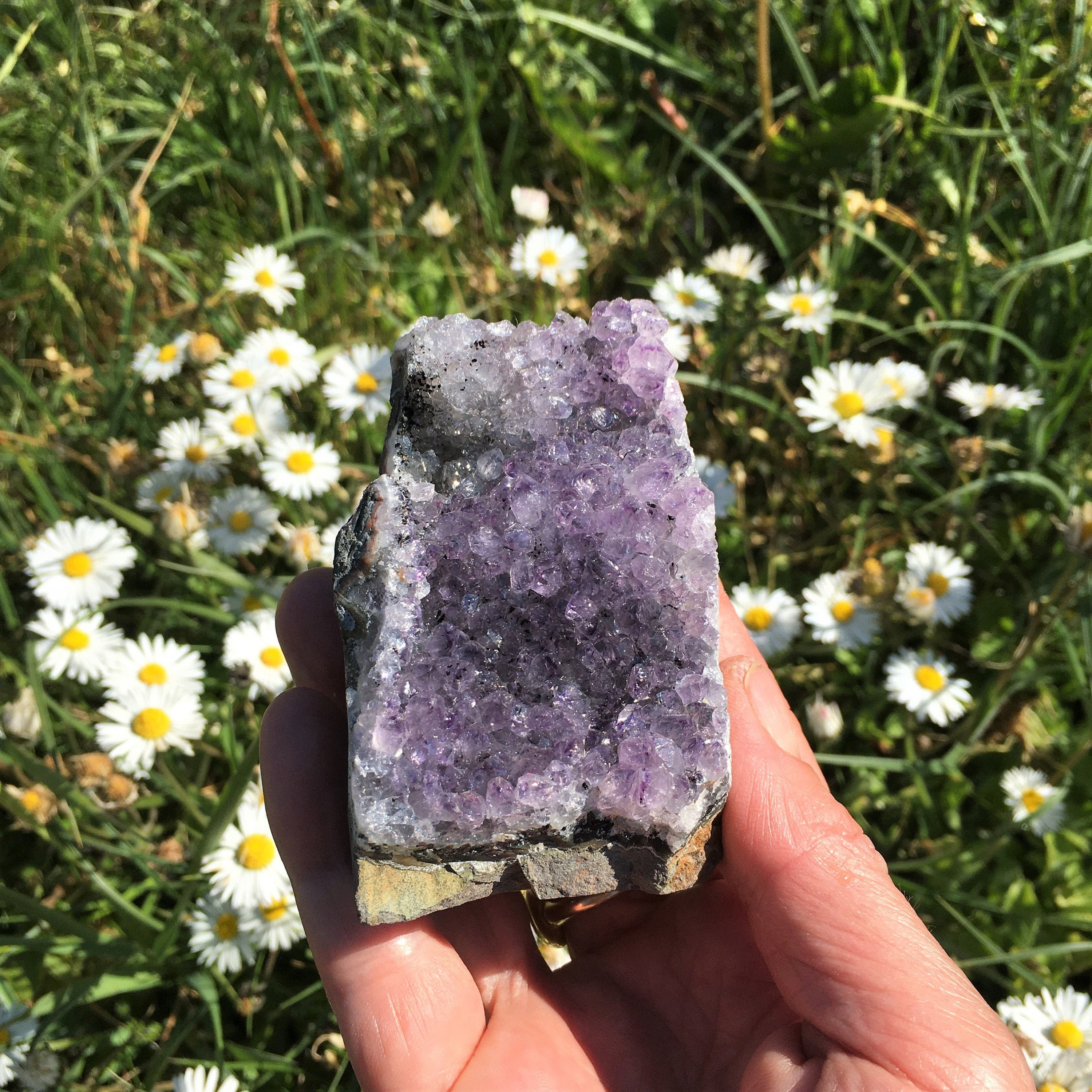 Druse Améthyste 203 Grammes