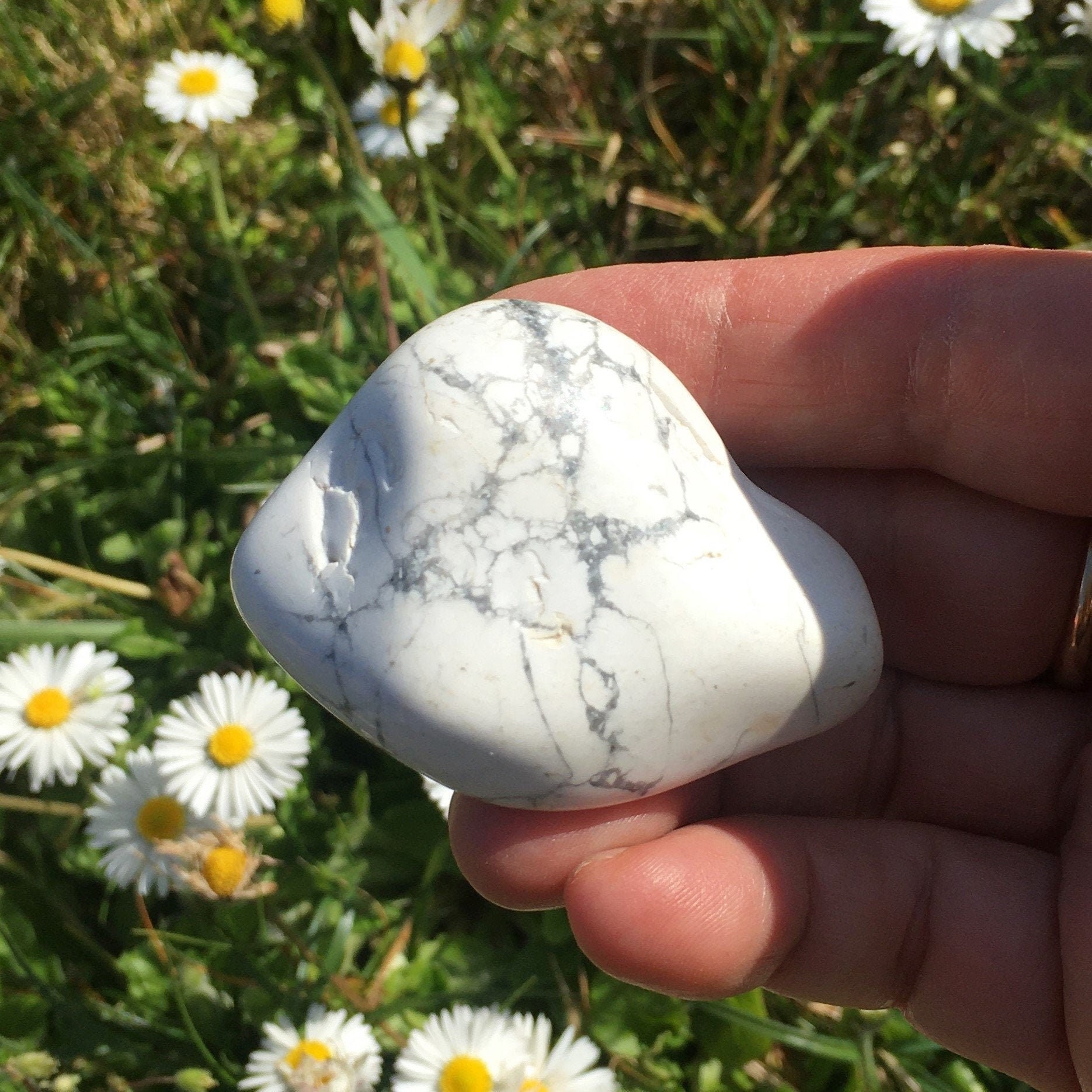 Galet Howlite 65, 16 Grammes