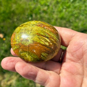 Peut inclure: Une pierre polie et arrondie présentant un mélange vibrant de tons vert citron et brun terreux. La surface affiche un motif marbré complexe avec des veines entrelacées et une texture lisse et brillante qui reflète la lumière sur sa forme.