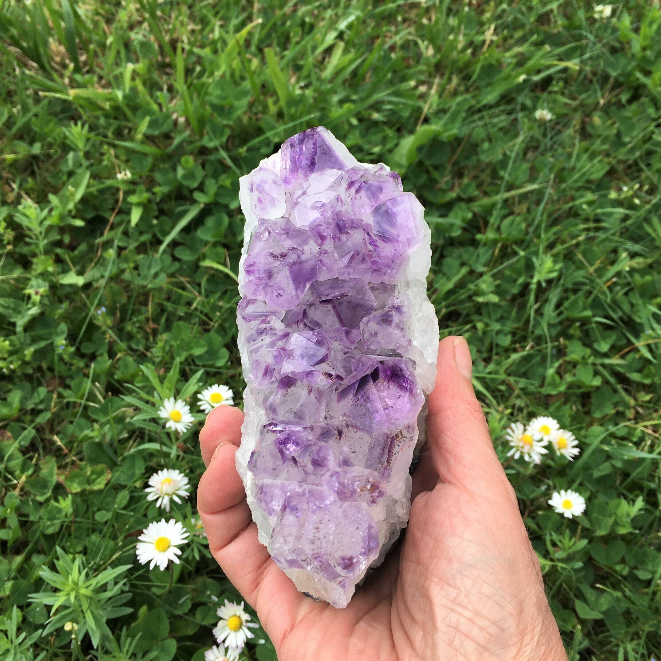 Druse Améthyste 964 Grammes