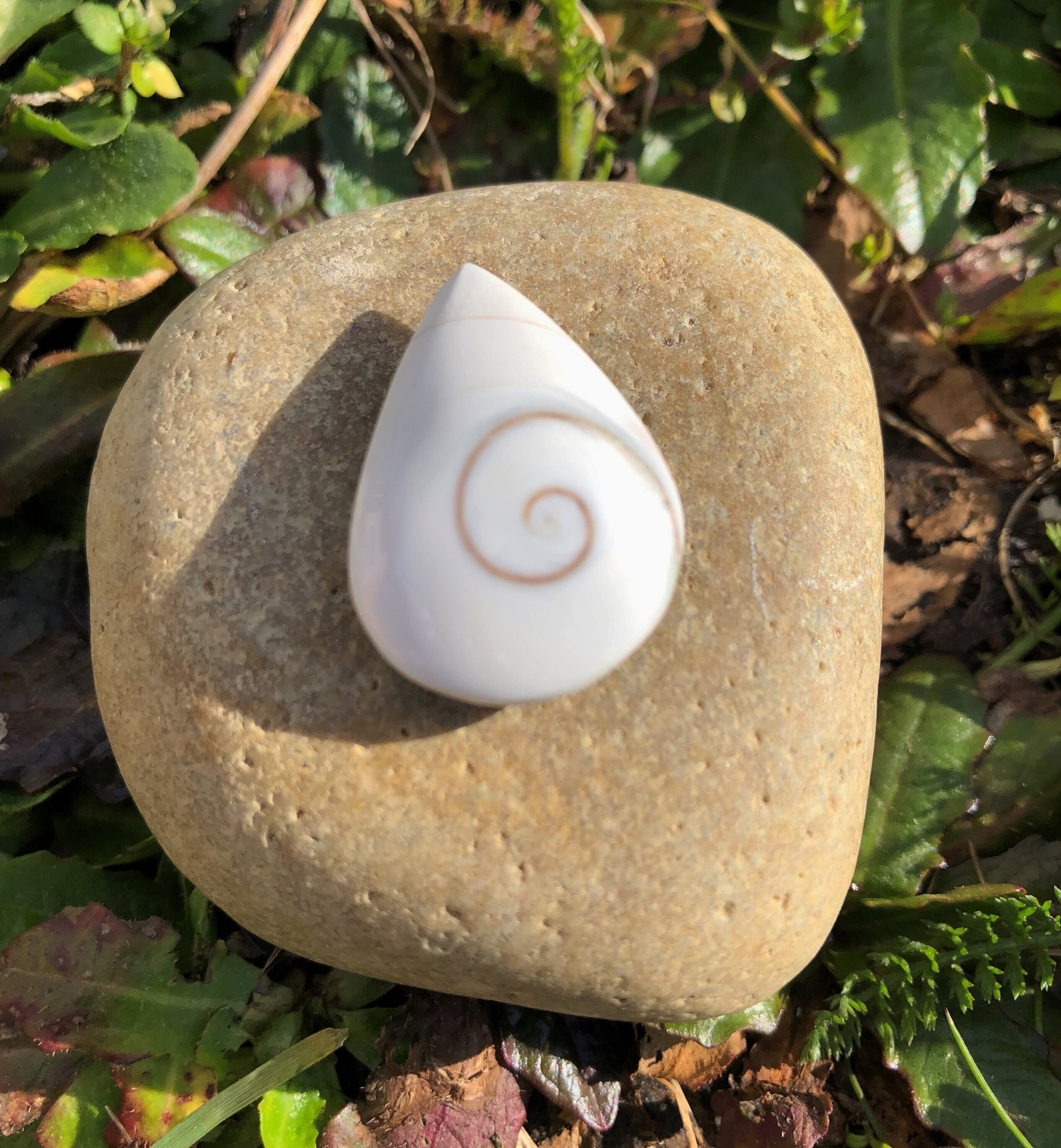 Oeil de Sainte Lucie Galet Poche 5, 45 Grammes