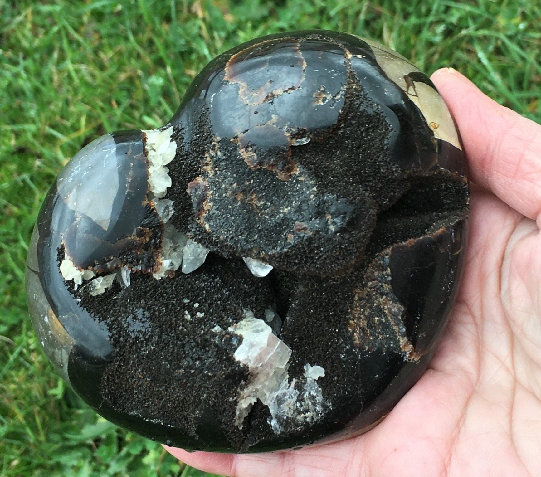 Coeur Septaria Sauvage 666 Grammes Pierre de Dragon