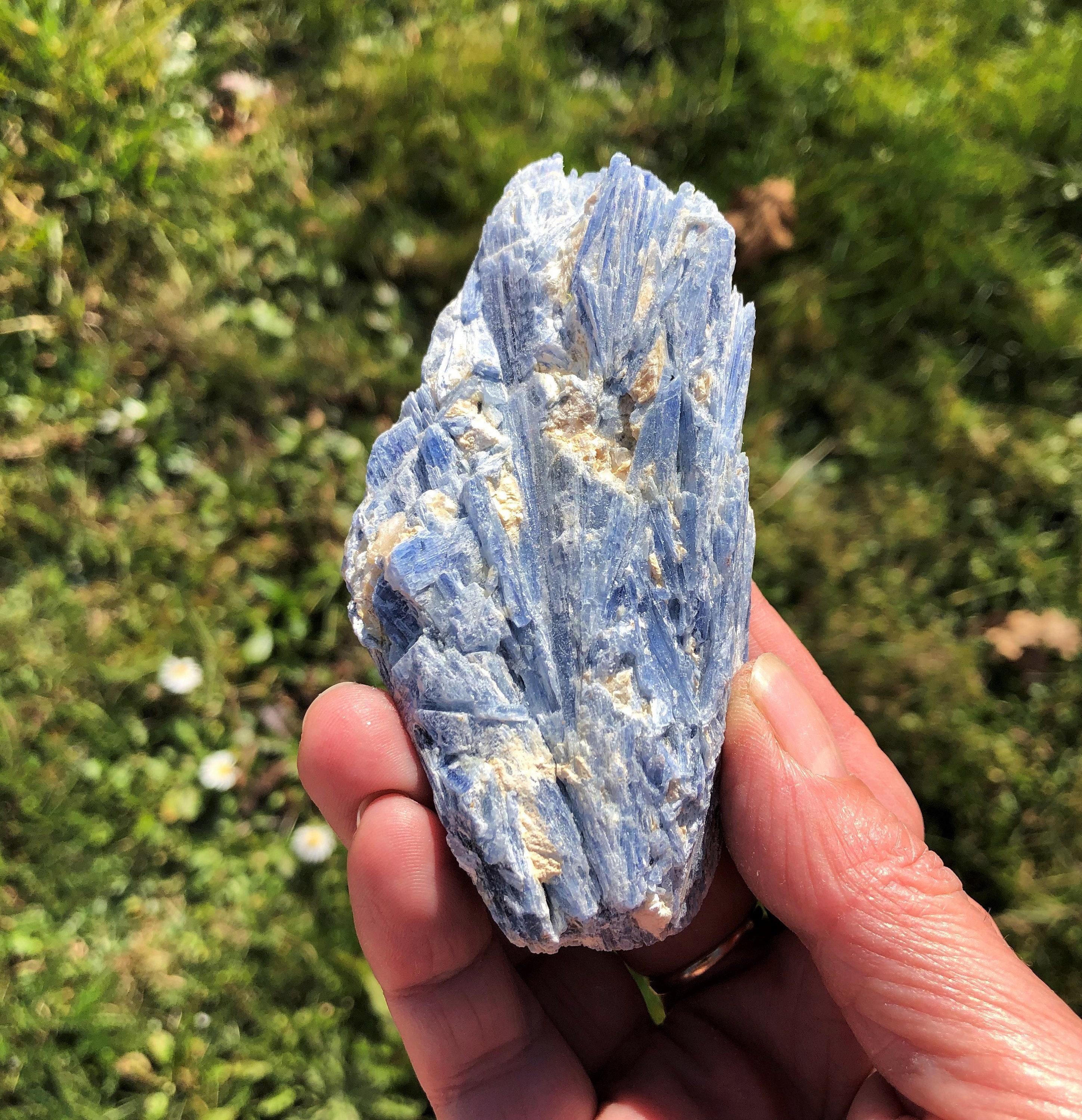 Disthène Cyanite Brute 176 Grammes