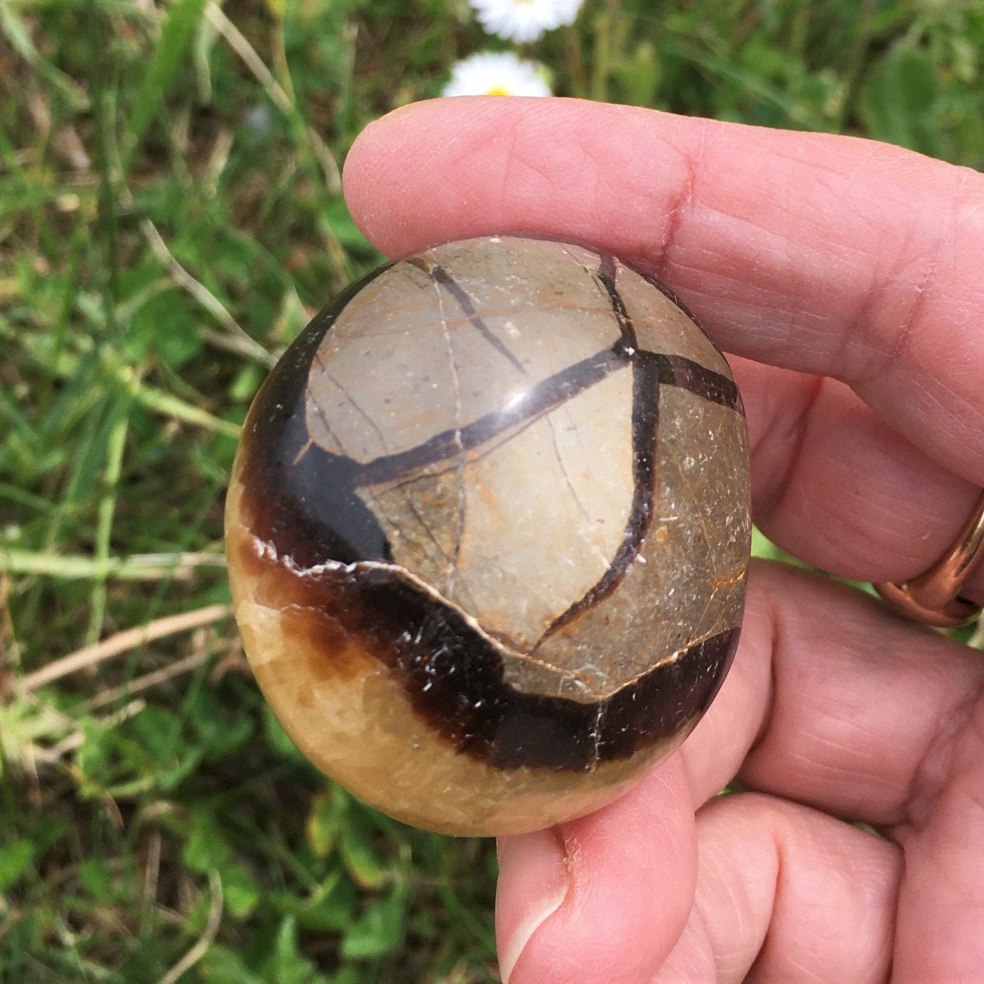 Galet Septaria Pierre de Dragon 80, 66 Grammes