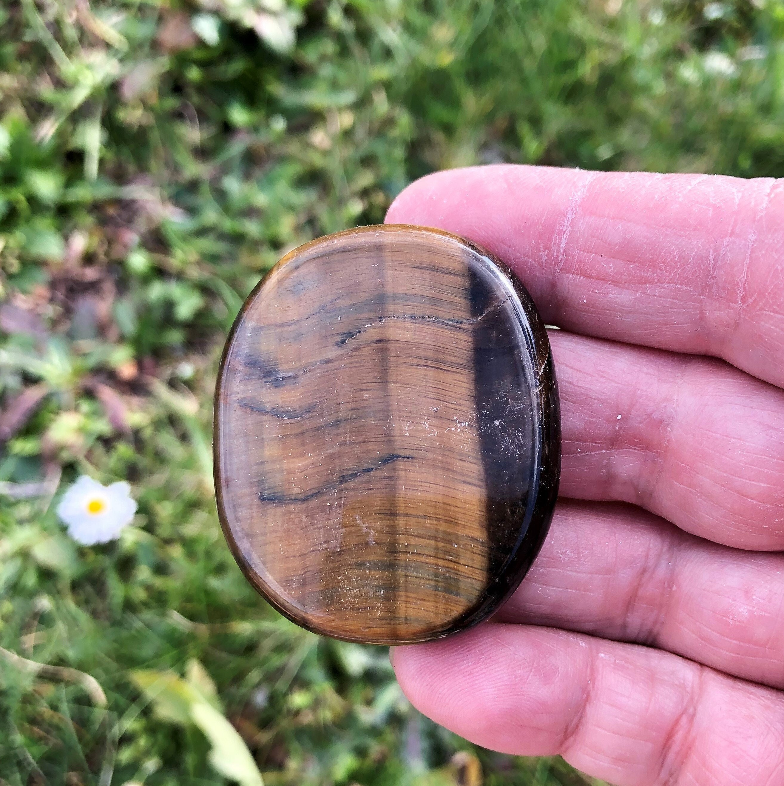 Galet Oeil de Tigre 28, 95 Grammes