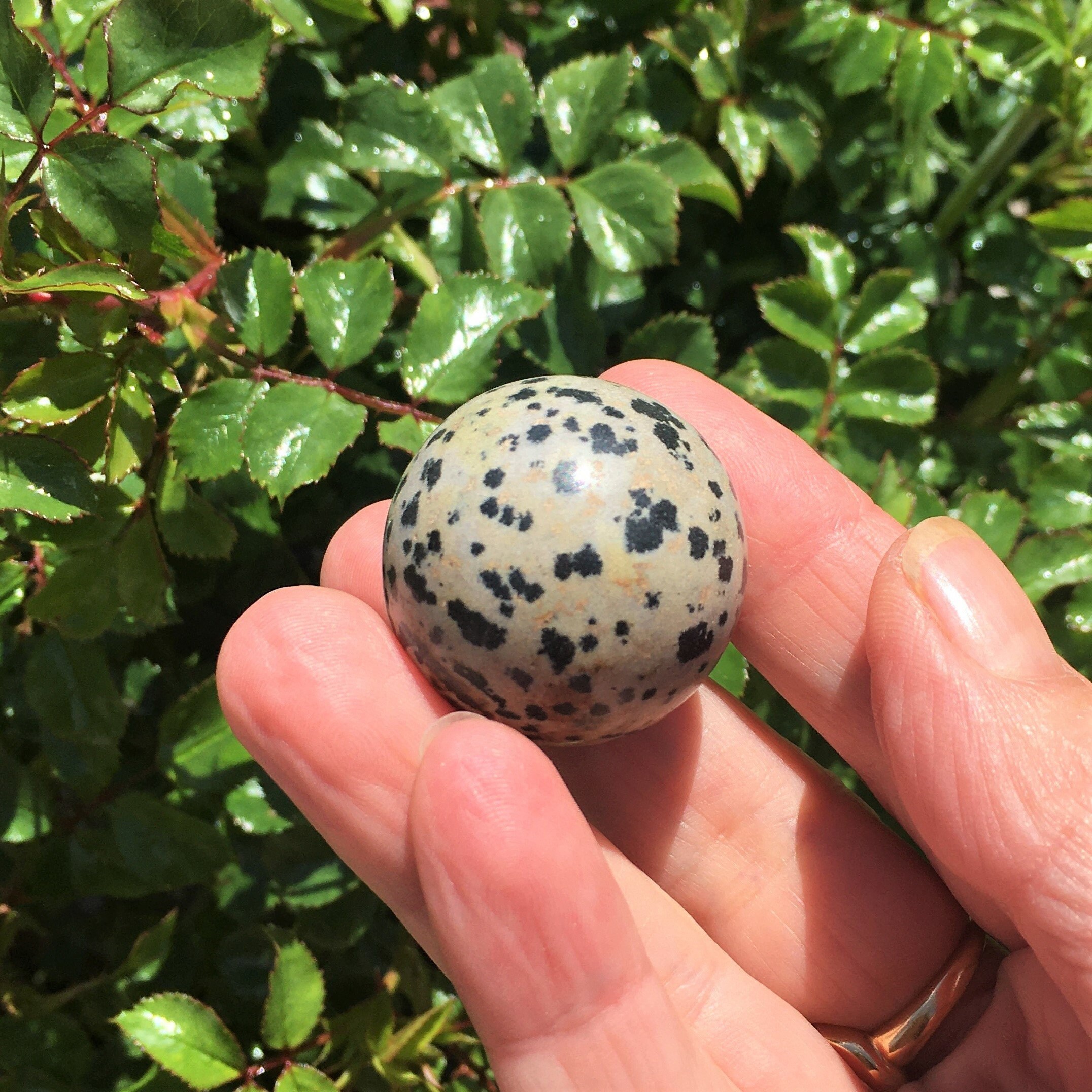 Jaspe Dalmatien Sphère Jaspe Lamparci 30mm Boule Pierre Naturelle