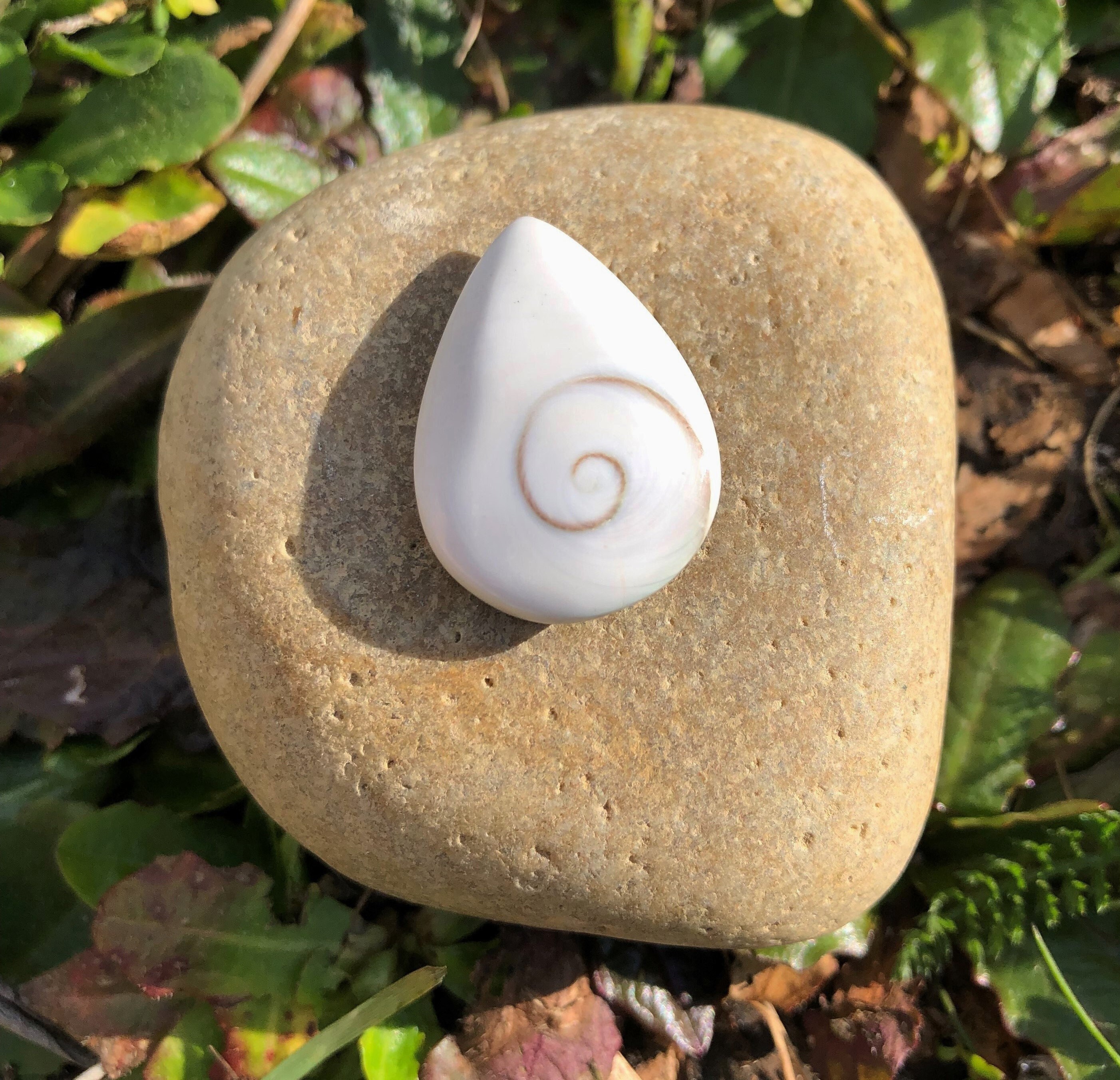 Oeil de Sainte Lucie Galet Poche 4, 42 Grammes