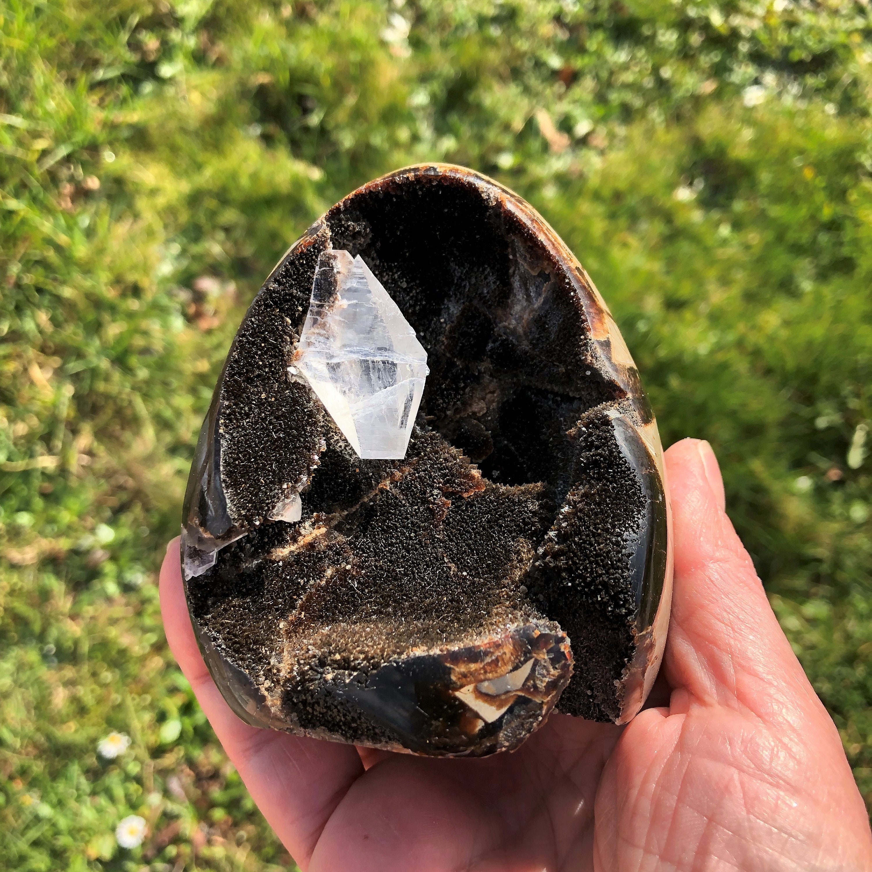 Oeuf Septaria Sauvage 433 Grammes Pierre de Dragon