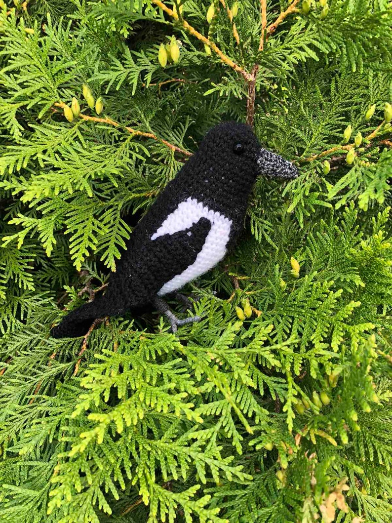 Magpie crocheted Knitted bird knit bird Knitted birds Bird Etsy