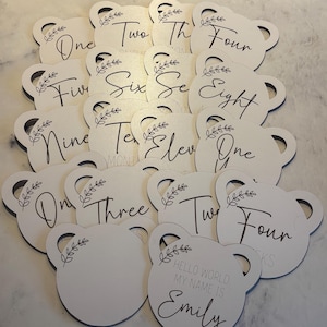 Ensemble personnalisé de disques d'étapes pour bébé, cartes d'étapes pour le monde, cadeau pour nouveau-né, cadeau de baby shower, accessoire photo pour nouveau-né
