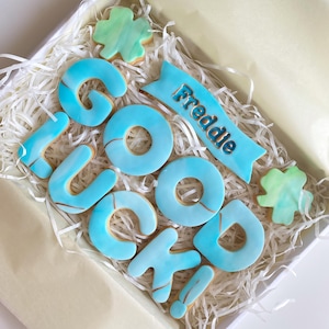 Galletas personalizadas de buena suerte / Regalo de buena suerte / Mucha suerte / Regalos para un nuevo trabajo / Examen / Prueba de conducir / Entrevista de trabajo / Regalos de despedida imagen 1