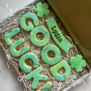Puede incluir: Un conjunto de galletas "Buena suerte" verde y dorado en una caja blanca con papel triturado. Las galletas est&aacute;n decoradas con un dise&ntilde;o verde y dorado marmoleado. El conjunto incluye una pancarta con el nombre "Lydia" escrito en dorado.