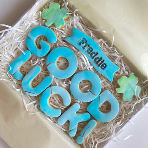 Galletas personalizadas de buena suerte / Regalo de buena suerte / Mucha suerte / Regalos para un nuevo trabajo / Examen / Prueba de conducir / Entrevista de trabajo / Regalos de despedida imagen 4