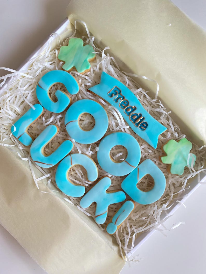 Galletas personalizadas de buena suerte / Regalo de buena suerte / Mucha suerte / Regalos para un nuevo trabajo / Examen / Prueba de conducir / Entrevista de trabajo / Regalos de despedida imagen 4