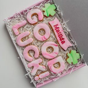 Galletas personalizadas de buena suerte / Regalo de buena suerte / Mucha suerte / Regalos para un nuevo trabajo / Examen / Prueba de conducir / Entrevista de trabajo / Regalos de despedida imagen 9