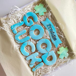 Galletas personalizadas de buena suerte / Regalo de buena suerte / Mucha suerte / Regalos para un nuevo trabajo / Examen / Prueba de conducir / Entrevista de trabajo / Regalos de despedida imagen 7