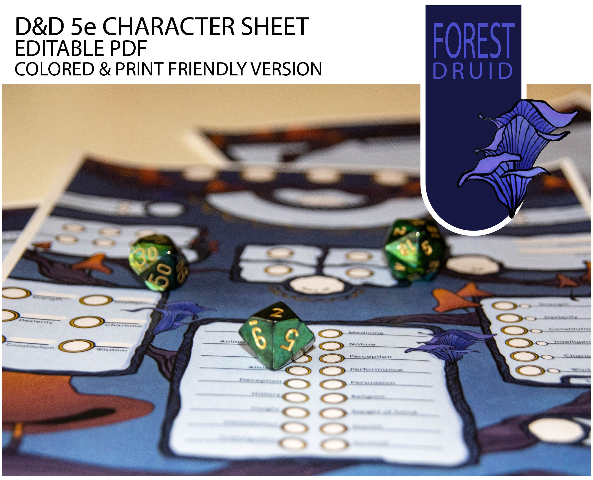 Dnd 5e Character Sheet - Editable PDF - Black and White + Colored ...
