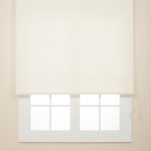 Estores Enrollables de Doble Capa Noche y Día, Persianas Enrollables  Interior para Ventana, Blanco, 55 x 150 cm