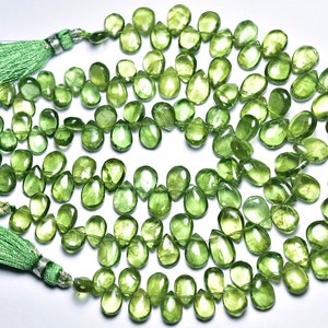Olive Green Apatite Pear Beads - 7.5 inches - Beautiful Natural  Faceted Apatite Pear Briolette - Size is 6x8 - 5x10.5 mm #2448