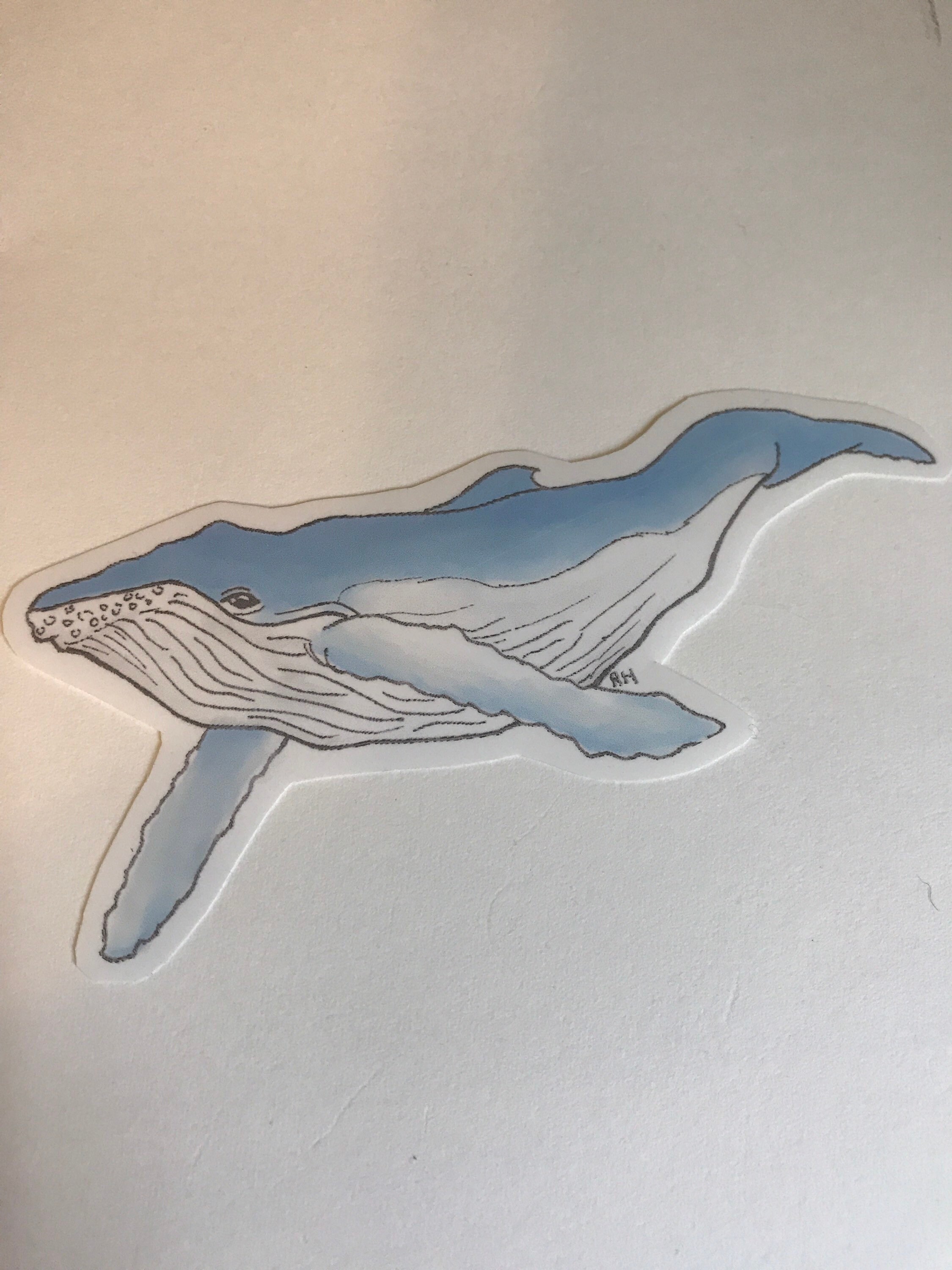 Humpback Whale Vinyl Sticker | Etsy