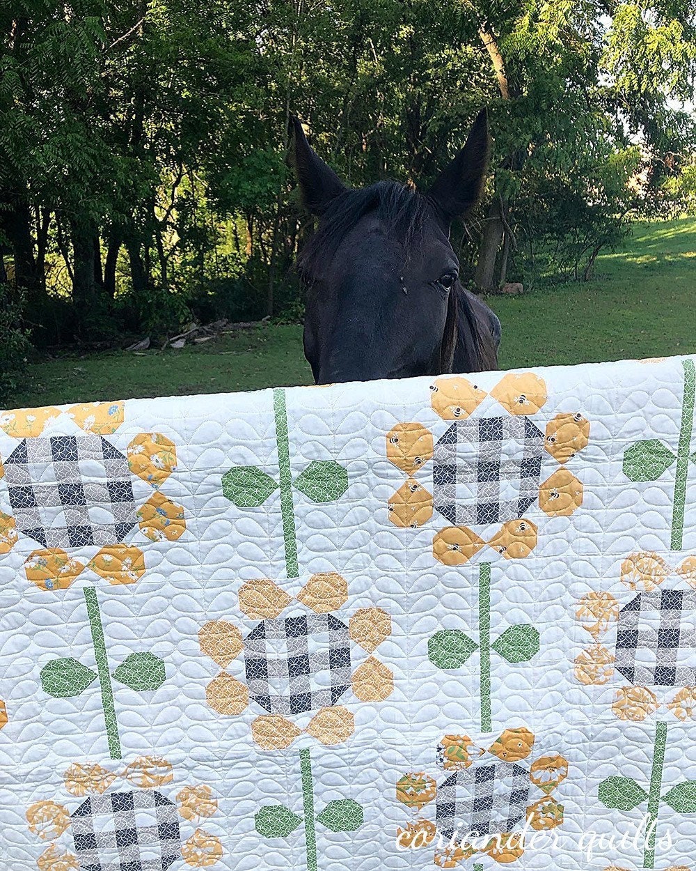 Rain Check Quilt Kit by Corey Yoder of Coriander Quilts for Etsy