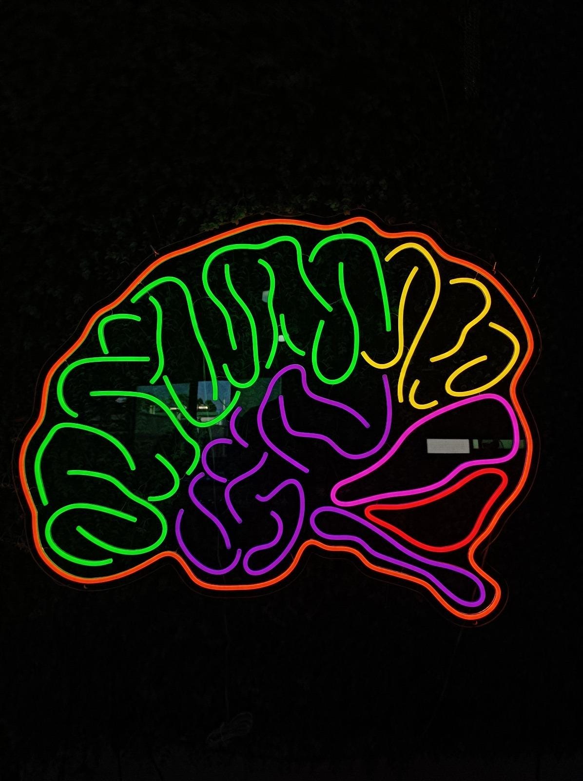 Brain - LED Neon Sign, Wall Decor, Wall Sign, Neon Lights, Human Brain ...