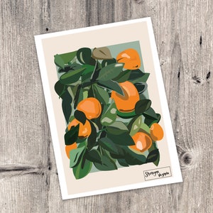 Oranges print kitchen print summer illustration fruits citrus holiday illustration print image 3