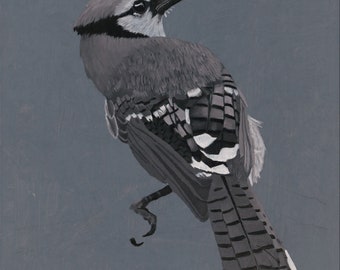 Original Oil Painting of Blue Jay B&W (2020)