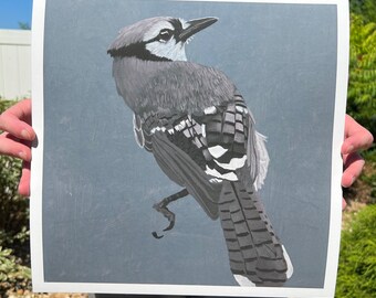 Impresión de edición abierta de Blue Jay en blanco y negro