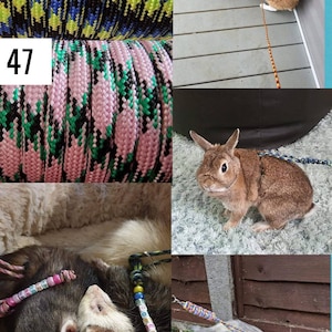 Puede incluir: Se muestran varias correas y arneses para mascotas. Un gato lleva una correa, y un conejo lleva un arn&eacute;s. Primeros planos muestran cuerdas estampadas en negro, azul, amarillo, rosa y verde. Algunas correas tienen etiquetas con nombres con cuentas.