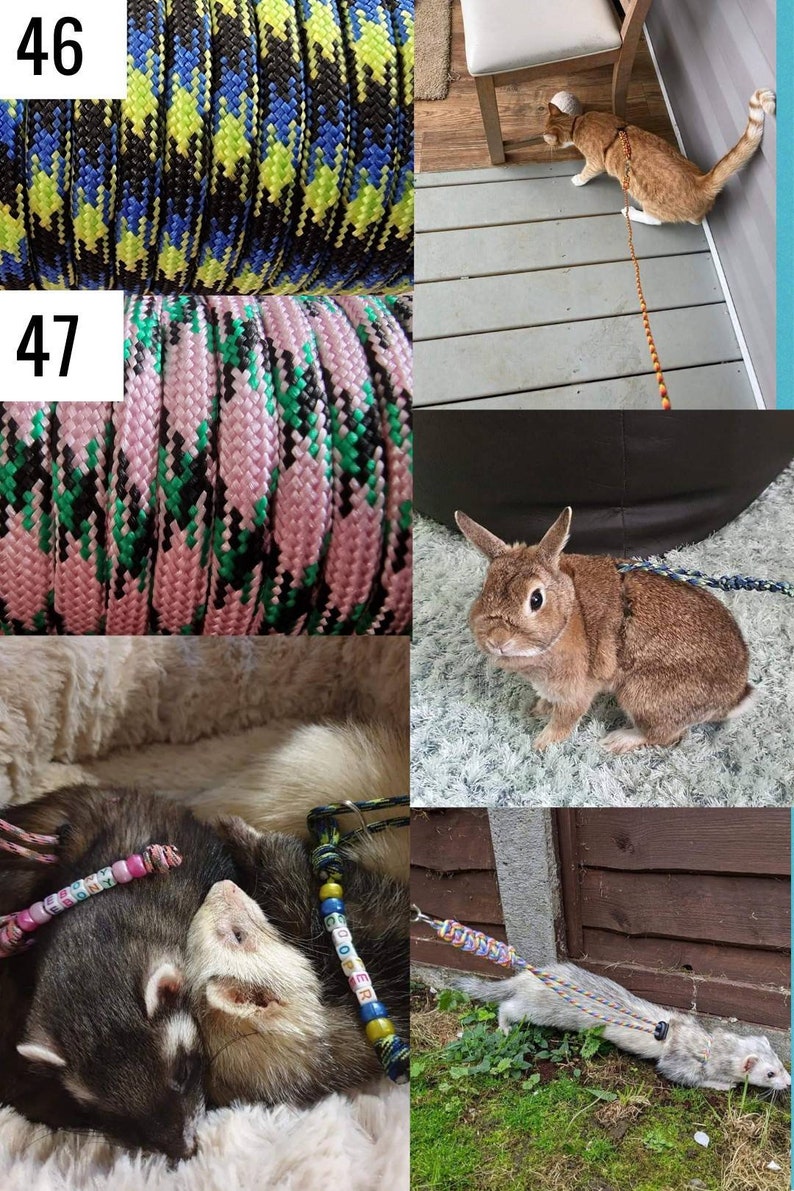 Puede incluir: Se muestran varias correas y arneses para mascotas. Un gato lleva una correa, y un conejo lleva un arn&eacute;s. Primeros planos muestran cuerdas estampadas en negro, azul, amarillo, rosa y verde. Algunas correas tienen etiquetas con nombres con cuentas.