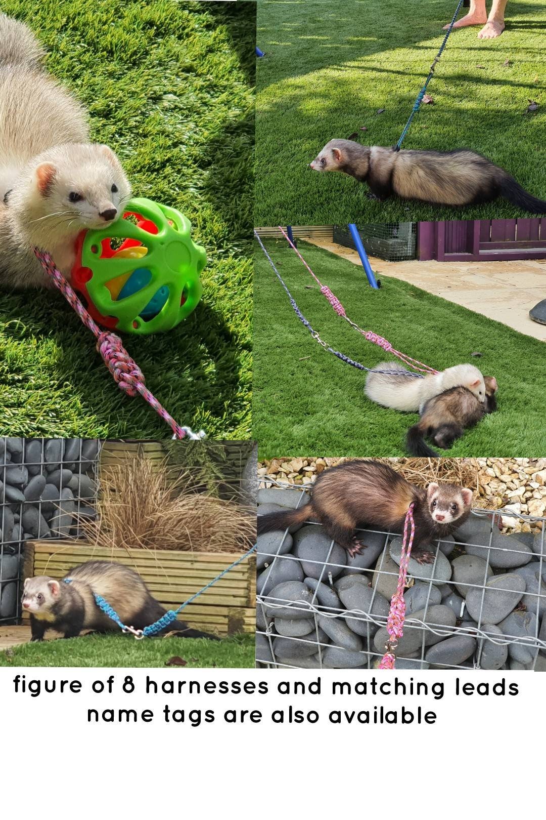 Small Animal Rabbit Ferret Figure of 8 Harnesses and Leads Matching Name Tags Etsy UK
