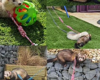 Small animal, rabbit, ferret, figure of 8 harnesses and leads matching name tags